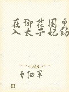 在御花园皇上进入太子妃的小说