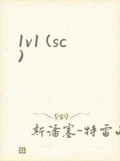 1v1 (sc)封面