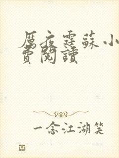 厉夜霆苏小汐免费阅读