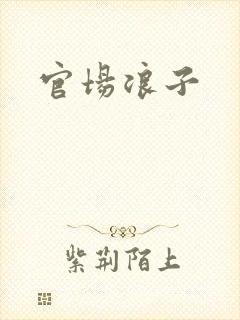 官场浪子