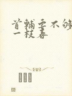 首辅要不够po一枝春封面