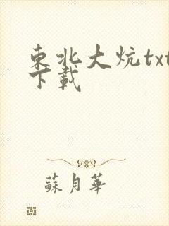 东北大炕txt下载封面