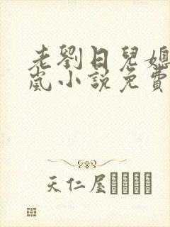 老刘日儿媳妇张岚小说免费阅读