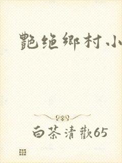 艳绝乡村小说