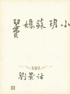 儿媳苏玥小说免费