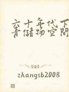 六十年代下乡知青储物空间