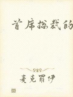 首席总裁的逃妻