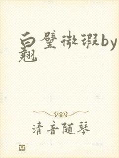 白璧微瑕by连翘封面
