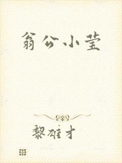 翁公小莹