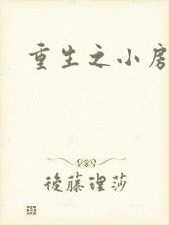 重生之小房东封面
