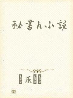 秘书h小说