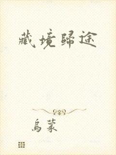藏境归途