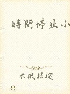 时间停止小说