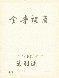 金昔视角封面
