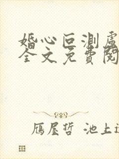 婚心叵测卢丹妮全文免费阅读小说封面