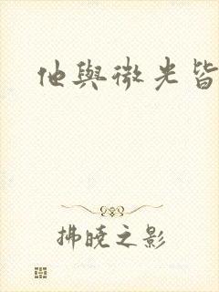 他与微光皆倾城封面