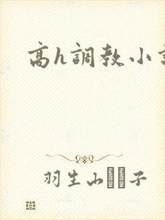 高h调教小说