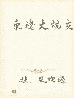 东边大炕交换