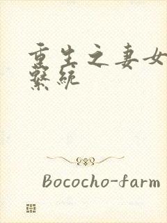 重生之妻女掠夺系统