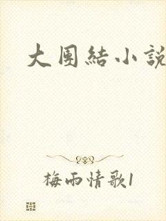 大团结小说下载封面