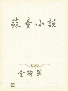 苏童小说