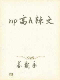 np高h辣文封面