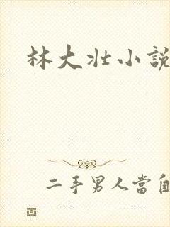 林大壮小说阅读
