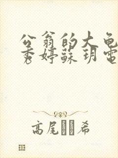 公翁的大龟挺进秀婷苏玥电影封面
