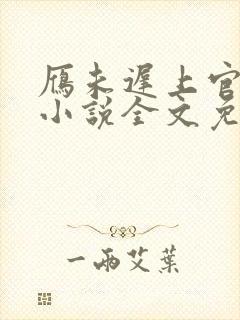 雁未迟上官穿越小说全文免费阅读封面