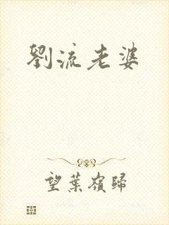 刘流老婆封面