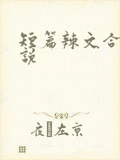 短篇辣文合集小说
