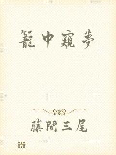 笼中窥梦