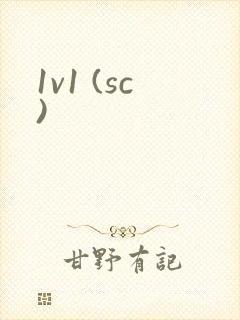1v1 (sc)