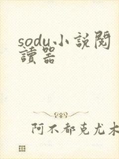 sodu小说阅读器封面