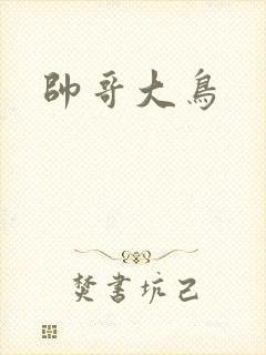 帅哥大鸟