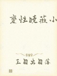 变性晓薇小说