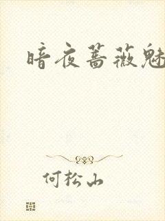 暗夜蔷薇魅