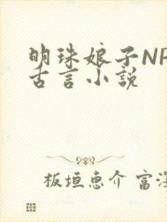 明珠娘子NPC古言小说