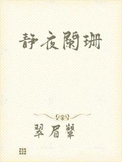 静夜阑珊
