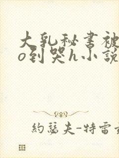 大乳秘书被cao到哭h小说封面