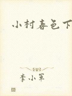 小村春色下载