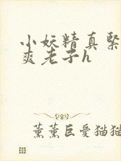 小妖精真紧h嘶爽老子h