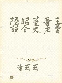 陆昭菱晋王的小说全文免费阅读