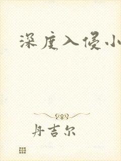 深度入侵小说
