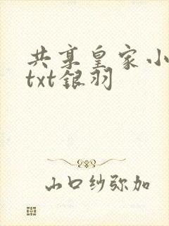 共享皇家小公主txt银羽