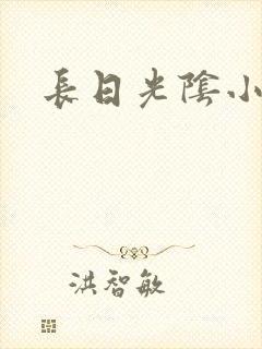 长日光阴小说
