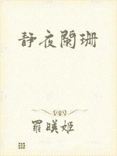 静夜阑珊封面
