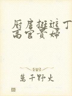 厨房挺进丁字裤高官贵妇