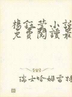 杨钰莹小说全文免费阅读最新章节封面