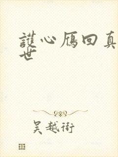 护心雁回真实身世封面